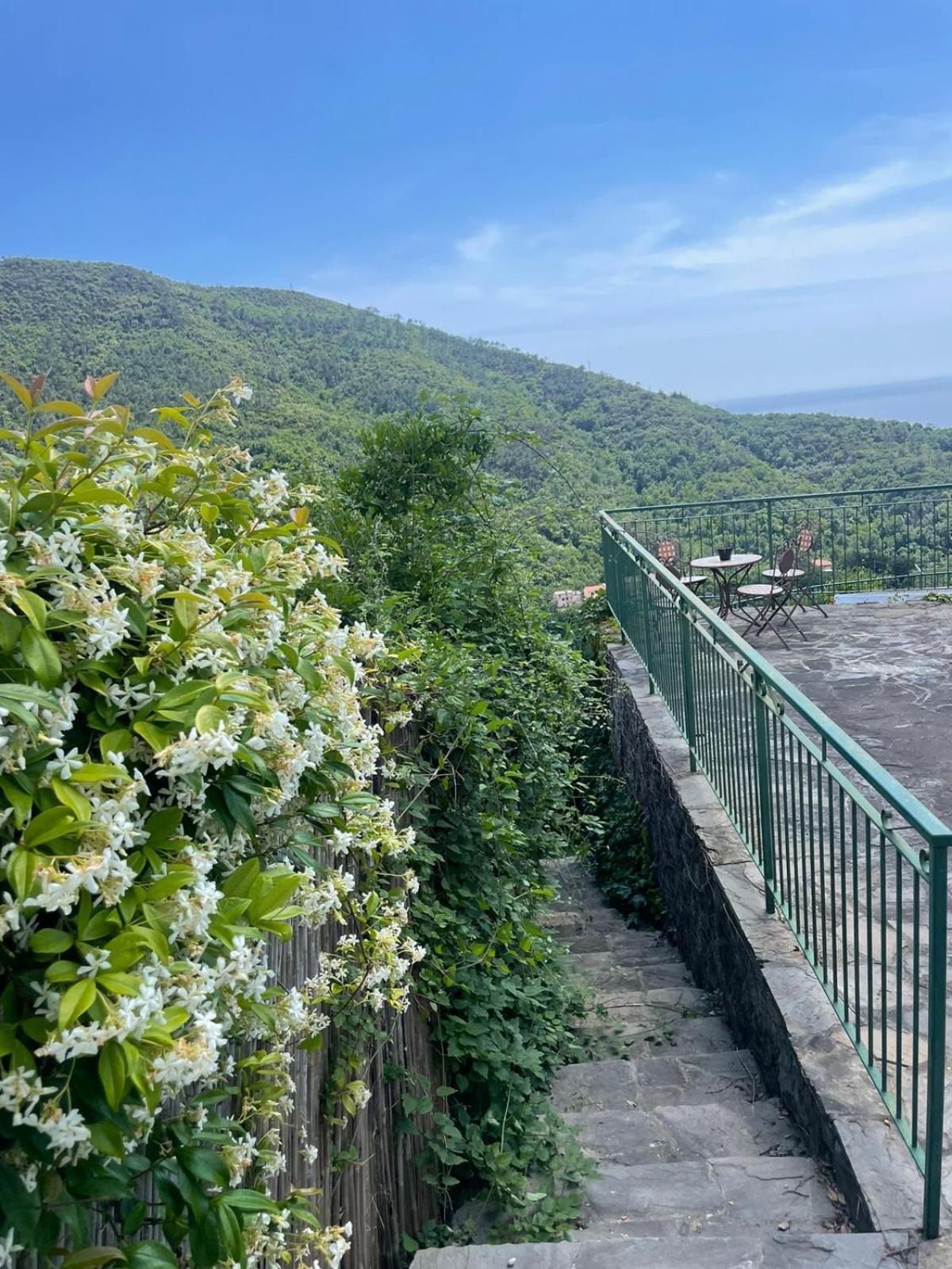 Corner Of Paradise โมเนเลีย ภายนอก รูปภาพ
